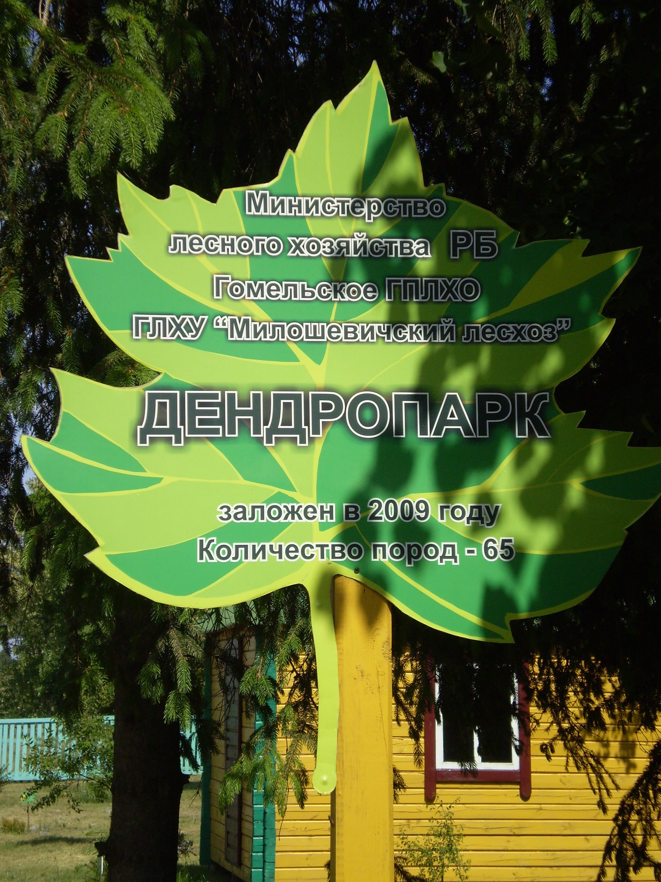 Фото дендропарк