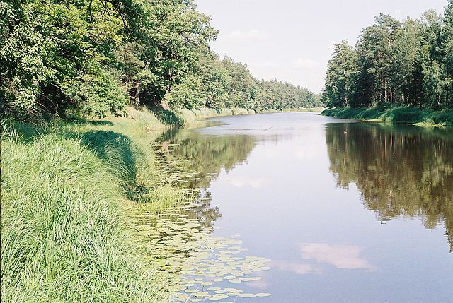Фото реки 5