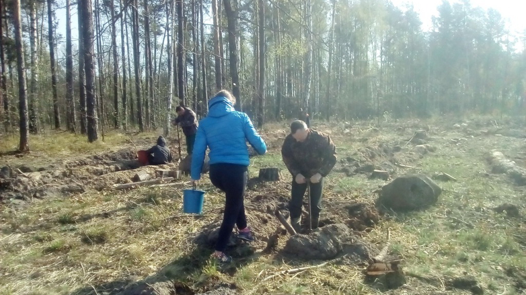 foto nedelya lesa 4 0