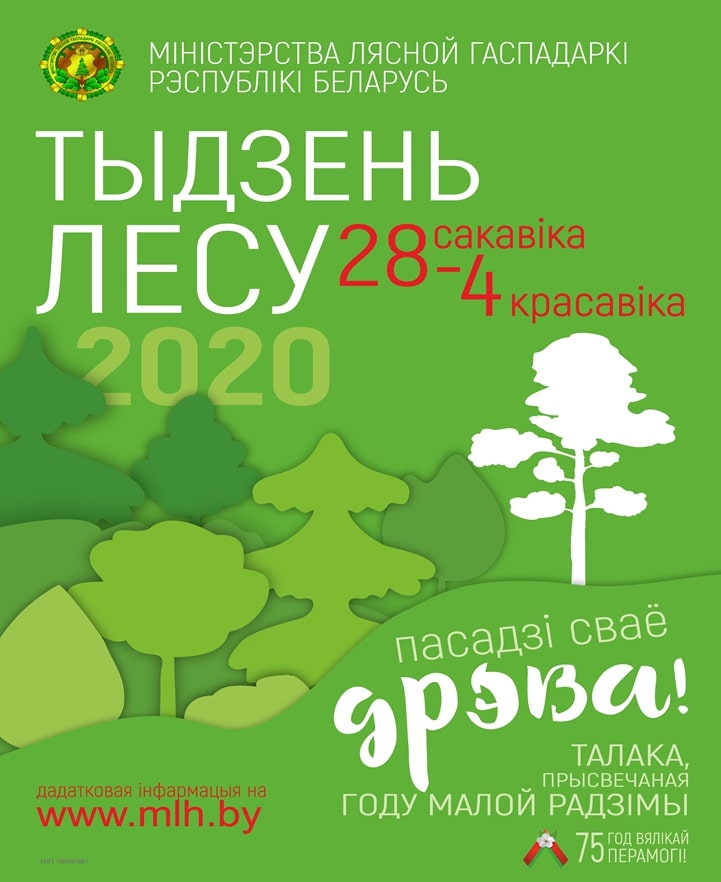 макет листовки формата А4