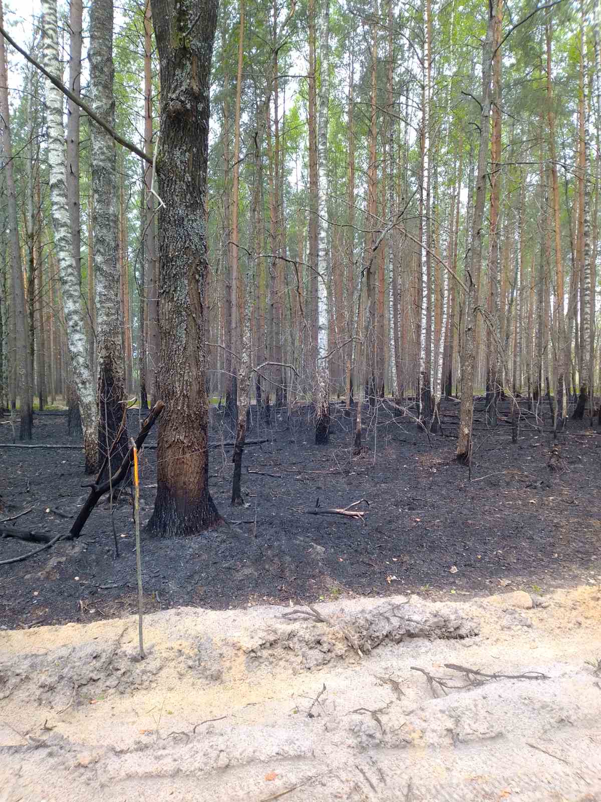 Фото пож Тонеж 2