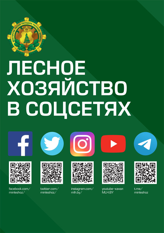 socseti minleshoz22