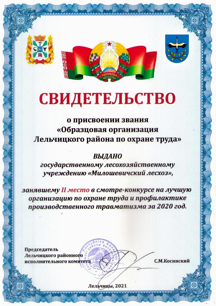 Дипл РИК 2м по ОТ за 2020