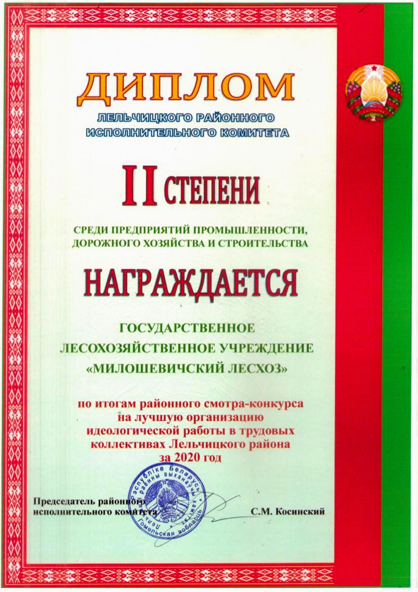 Диплом 2м идеология за 2020