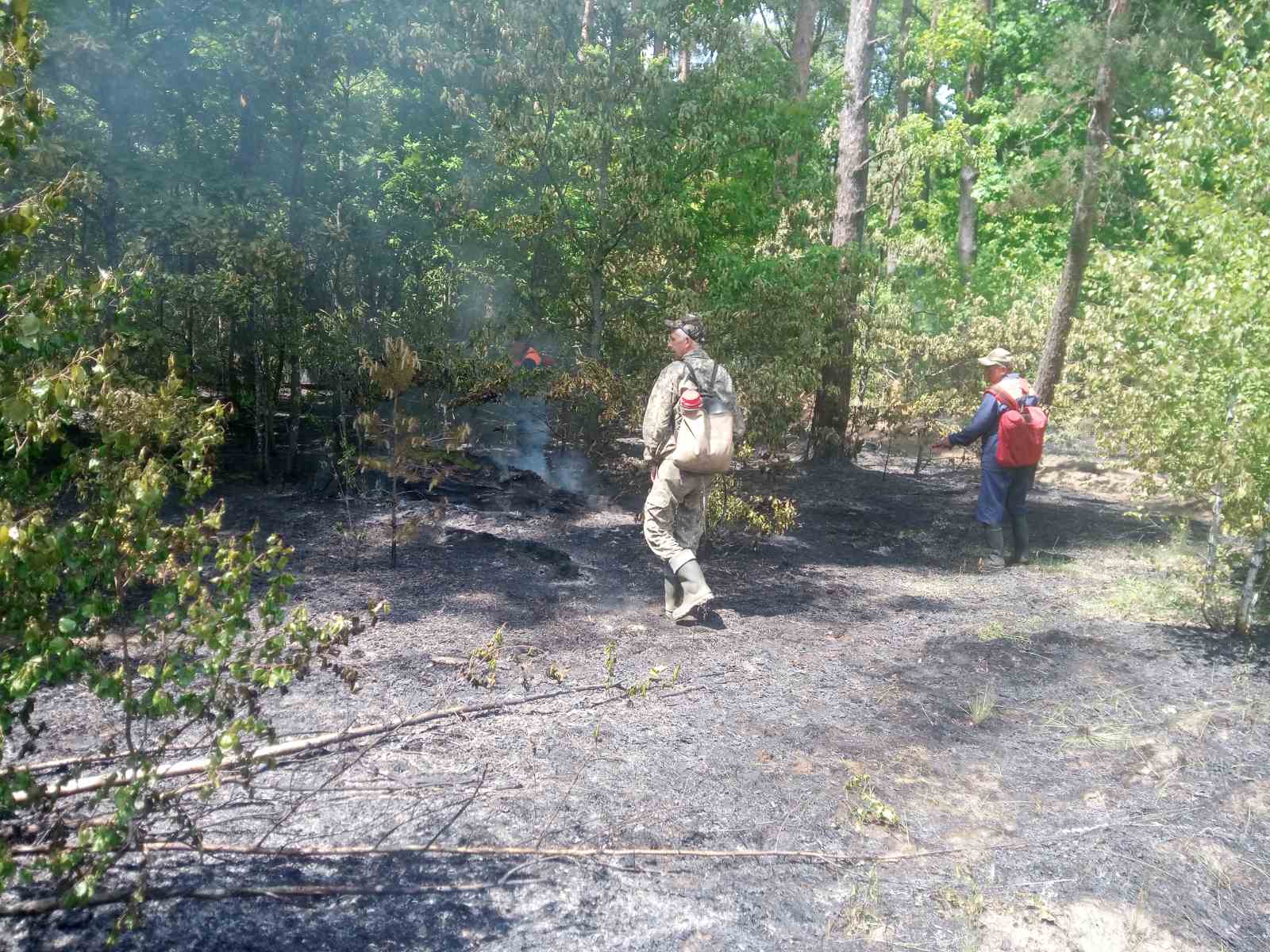 Фото пож Слобода 3