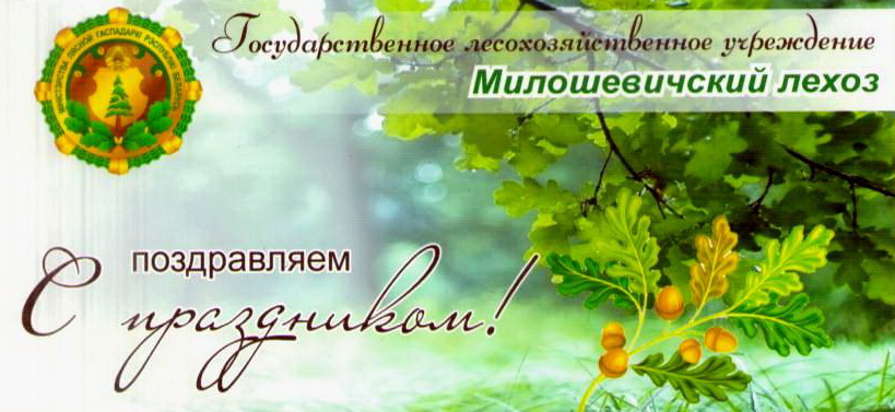 Фото с ДЛ