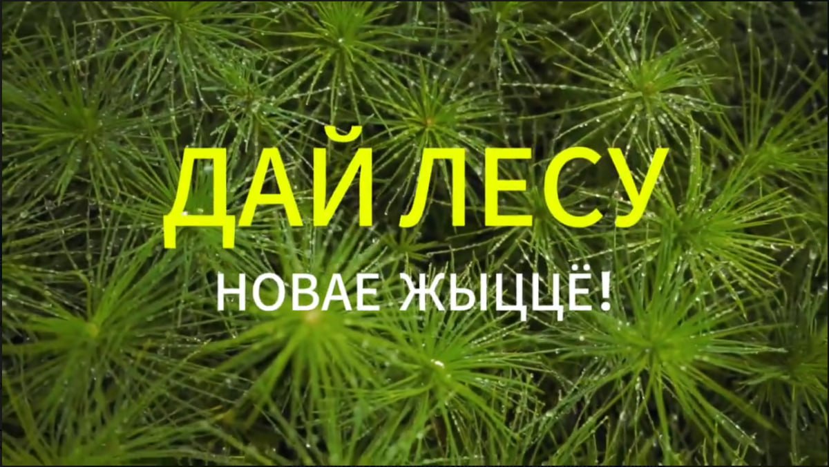 ДЛНЖ
