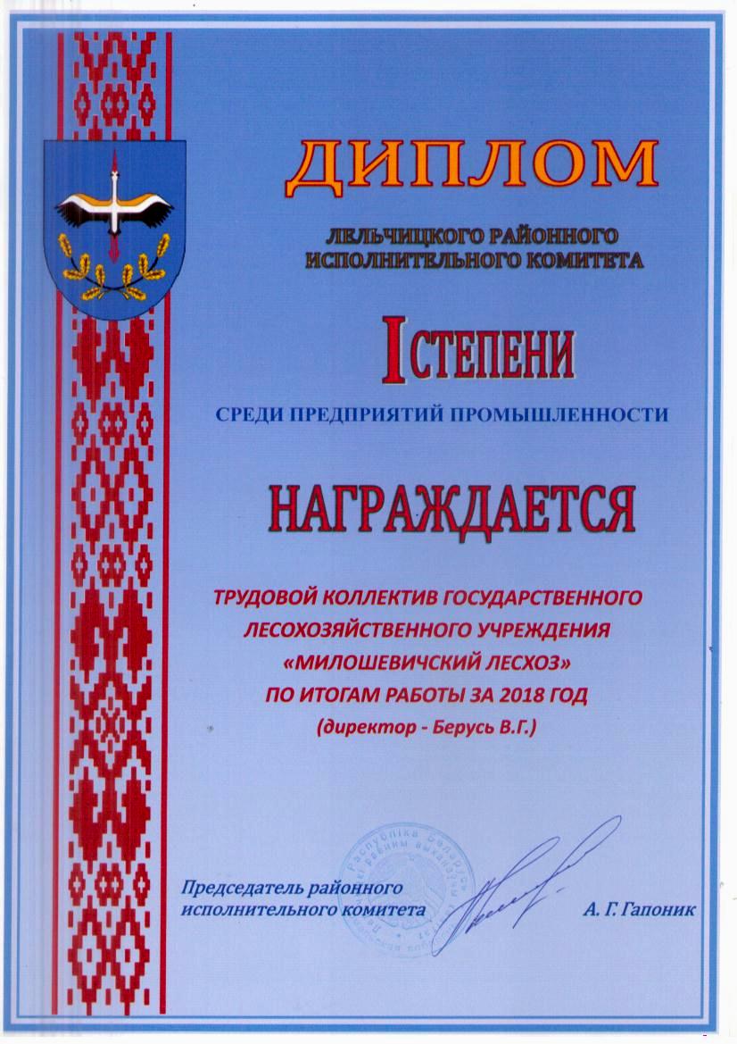 Диплом 1 место за 2018 год